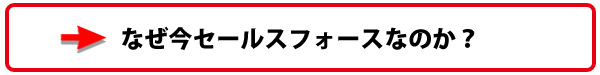 提携しました。 - 「セールスフォース・ドットコム認定コンサルティングパートナーのBLJが、 あなたの会社の営業支援・顧客管理システム導入を全面的にサポートします。」